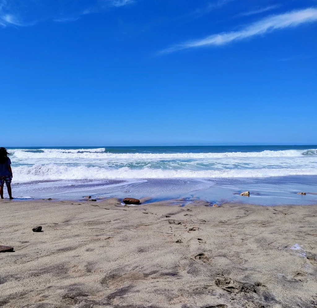 Il y a une mer avec une plage. Le ciel est bleu, sans nuages. Quelques rochers sur la plage et une fillette regardant la mer.